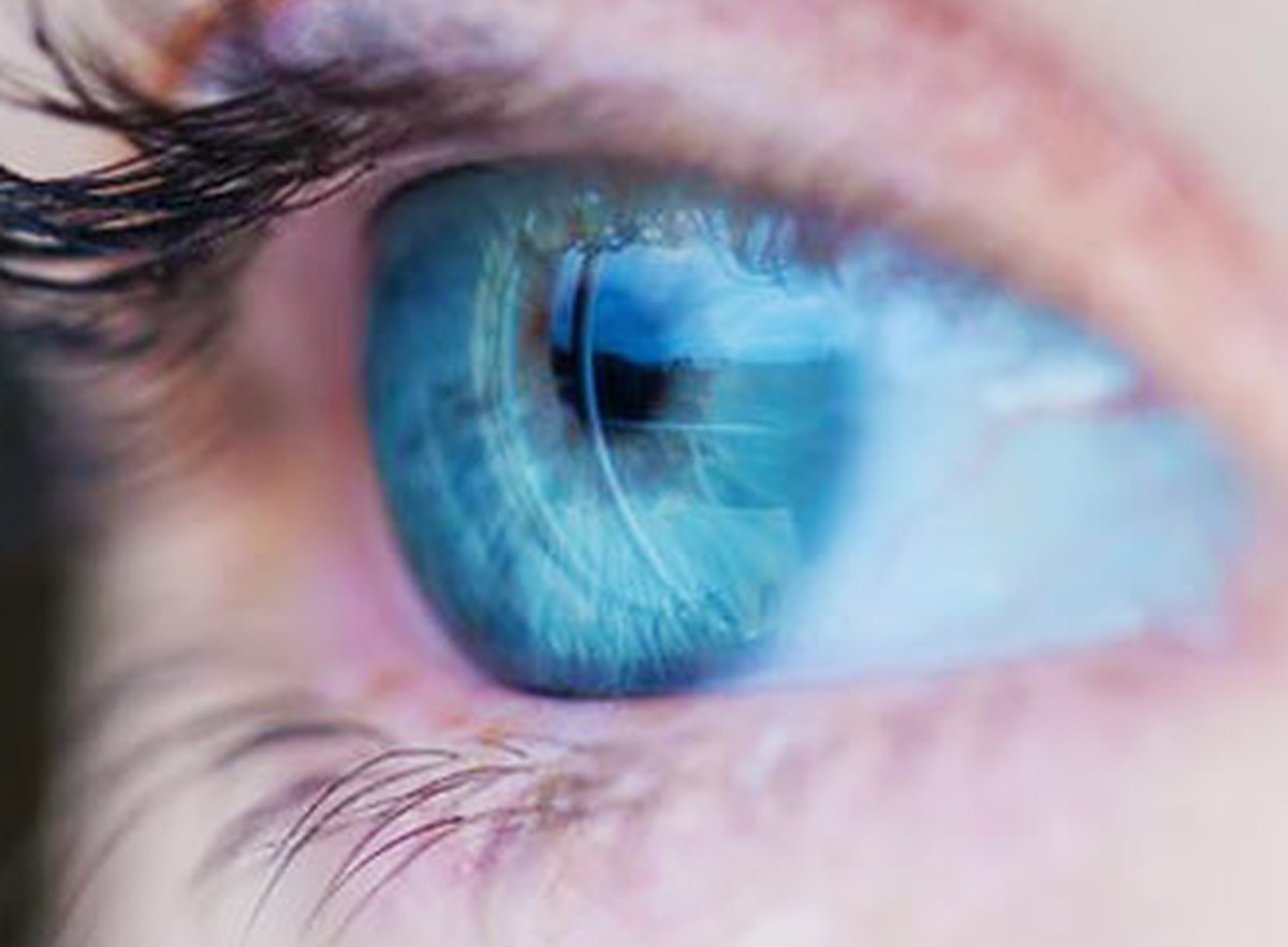 Protecting Your Eye Health: Digital Strain Relief, UV Defense & Vision Nutrients