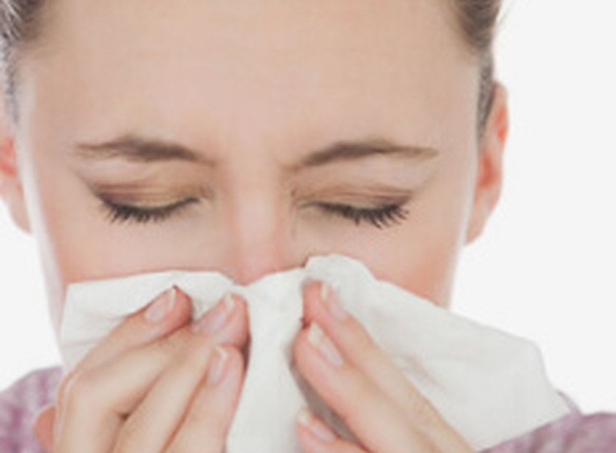 5 Common Allergy Myths Debunked: Adult-Onset Allergies, Pet Dander, Mold & Natural Foods