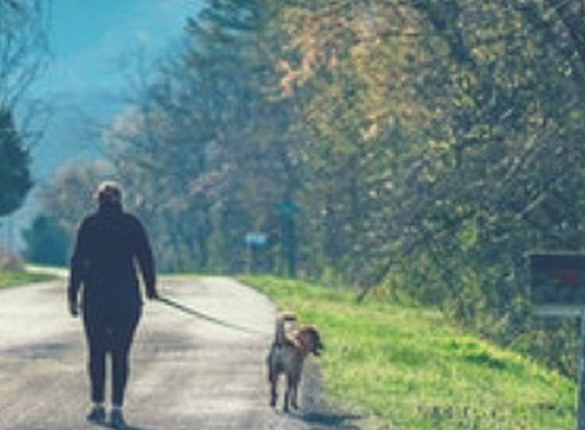Walk 30 Minutes a Day: 5 Changes Your Body Makes, From Heart to Mood