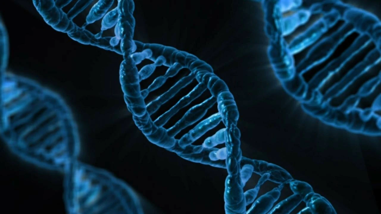 Effects of BPC 157 on tendon healing according to research
