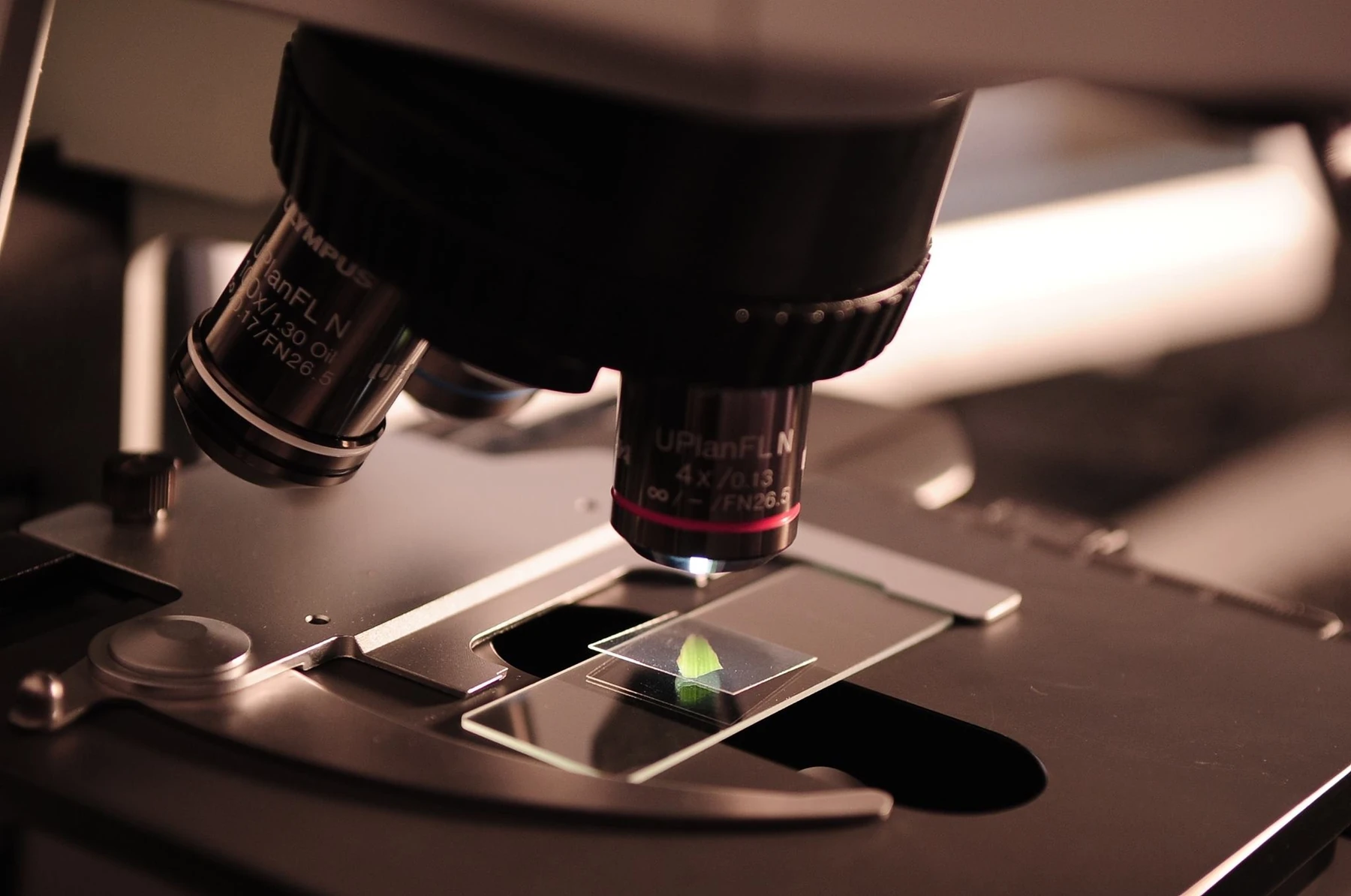 Research on a new peptide offers prospects for improved drug delivery
