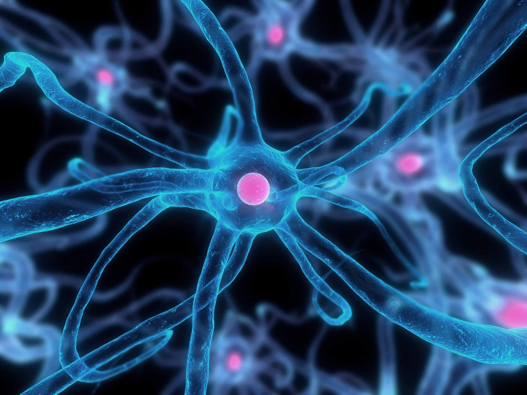 Research on peptides acting on the central autophagy pathway