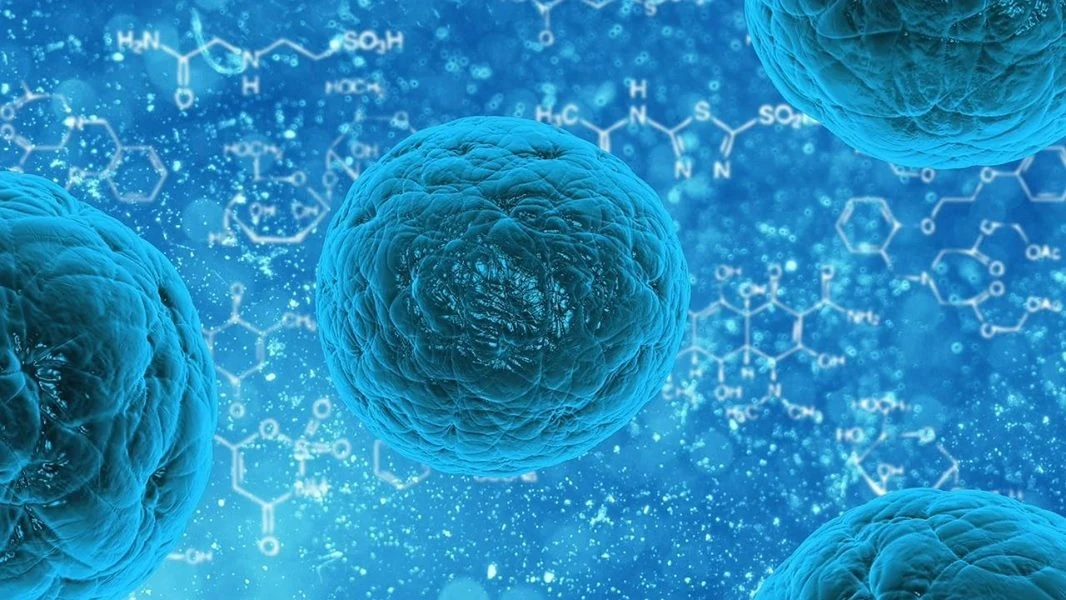 Peptides targeted at prostate cancer mutation according to research