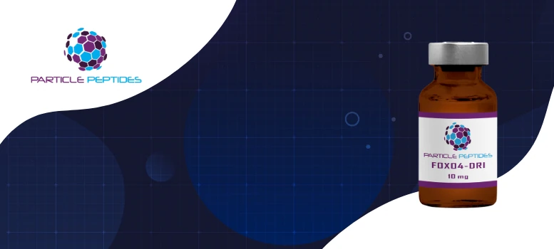 FOXO4-DRI: A scientific look at the peptide that fights aging at the cellular level