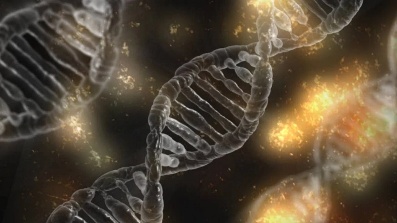 What studies say about how Hexarelin works