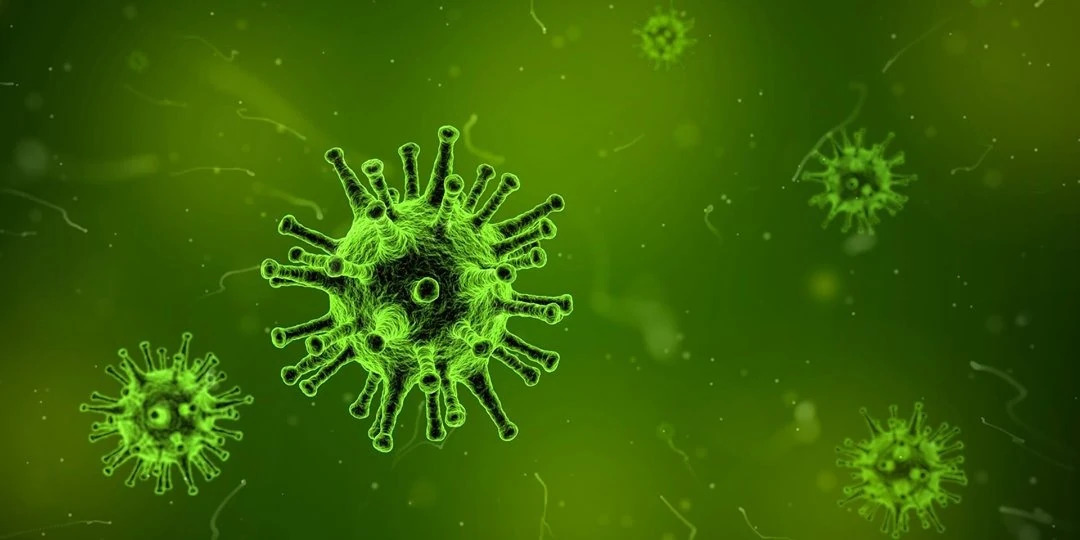Antimicrobial peptide: what research shows in the fight against bacteria