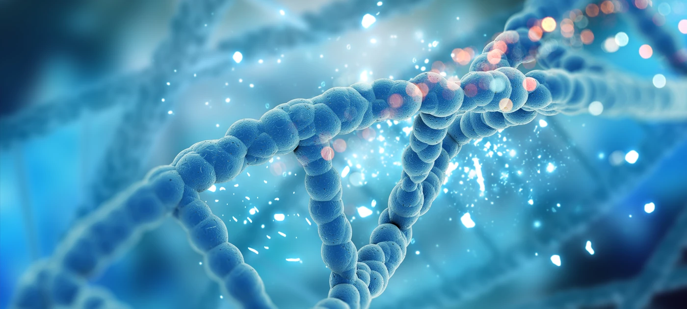 Growth hormone and immunity: what scientific studies show