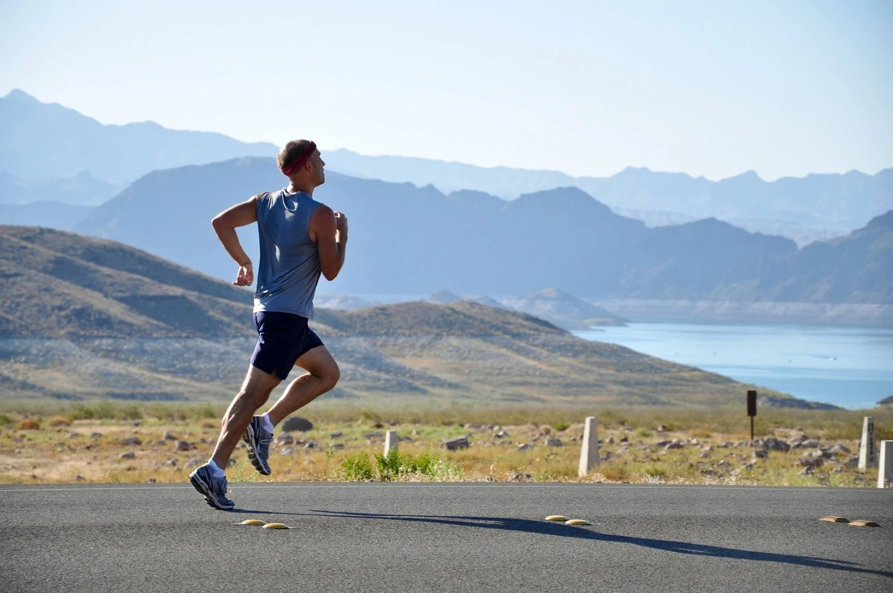 BPC-157: what scientific studies reveal about its effects